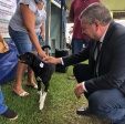 Fotos de 280 animais foram castrados gratuitamente em Iguatemi com recursos enviados pelo Deputado Delegado Jacovós