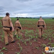 Fotos de Adolescente é executado com tiros na cabeça zona rural de Maringá