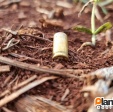 Fotos de Adolescente é executado com tiros na cabeça zona rural de Maringá