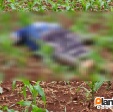 Fotos de Adolescente é executado com tiros na cabeça zona rural de Maringá