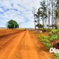 Fotos de Agricultor se apresenta e assume que matou homem na zona rural de Maringá