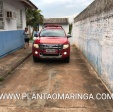 Fotos de Após atingir enxame com trator, trabalhador morre atacado por abelhas