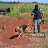 Fotos de Assaltantes rendem funcionário de transportadora e roubam 10 pistolas em Maringá; três pessoas foram presas