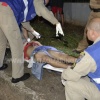 Fotos de Cachorro não abandona adolescente baleado durante tentativa de homicídio em Maringá