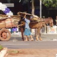 Fotos de Câmara vota fim do uso de veículos movidos a tração animal em Maringá