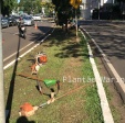 Fotos de Câmera de segurança registra atropelamento de trabalhador em Maringá; vídeo