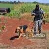 Fotos de Câmeras registram ação de assaltantes que roubaram 10 pistola em Maringá