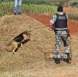 Fotos de Câmeras registram ação de assaltantes que roubaram 10 pistola em Maringá