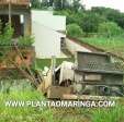 Fotos de Caminhão desgovernado invade quintal de residência em Maringá