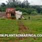 Fotos de Caminhão desgovernado invade quintal de residência em Maringá