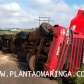 Fotos de Carreta tomba e espalha soja no contorno sul, em Maringá