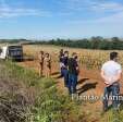 Fotos de Corpo é encontrado em estado de decomposição em milharal, em Marialva