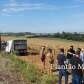 Fotos de Corpo é encontrado em estado de decomposição em milharal, em Marialva