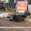 Fotos de Empresário é morto a tiros enquanto andava de motocicleta em Maringá