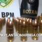 Fotos de Equipe ROTAM apreende duas armas de fogo em Paiçandu