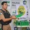 Fotos de Equipe ROTAM da Polícia Rodoviária Estadual apreende caminhão carregado com diversas mercadorias eletrônicos do Paraguai