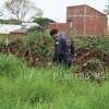 Fotos de Guarda municipal encontra mais de meio quilo de crack em terreno baldio em Sarandi