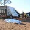 Fotos de Homem é assassinado e corpo desovado na zona rural de Maringá