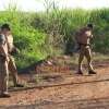 Fotos de Homem é assassinado e corpo desovado na zona rural de Maringá