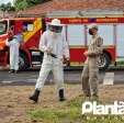 Fotos de Homem é atacado por abelhas e leva mais de 30 ferroadas em Maringá