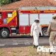 Fotos de Homem é atacado por abelhas e leva mais de 30 ferroadas em Maringá