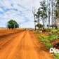 Fotos de Homem é executado com cerca de 10 tiros zona rural de Maringá