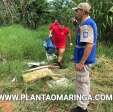 Fotos de Homem encontrado morto em rio, foi assassinado diz laudo do IML Maringá