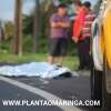 Fotos de Homem morre após ser atropelado por carreta na PR-317 em Maringá