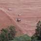 Fotos de Homem morre atropelado pelo próprio trator na zona rural de Astorga