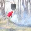 Fotos de Incêndio atinge antigo clube vale azul em Sarandi e destróI 4 hectares de vegetação