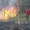 Fotos de Incêndio atinge antigo clube vale azul em Sarandi e destróI 4 hectares de vegetação