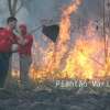 Fotos de Incêndio atinge antigo clube vale azul em Sarandi e destróI 4 hectares de vegetação