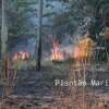 Fotos de Incêndio atinge antigo clube vale azul em Sarandi e destróI 4 hectares de vegetação