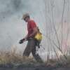 Fotos de Incêndio atinge antigo clube vale azul em Sarandi e destróI 4 hectares de vegetação