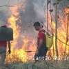 Fotos de Incêndio atinge antigo clube vale azul em Sarandi e destróI 4 hectares de vegetação