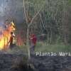 Fotos de Incêndio atinge antigo clube vale azul em Sarandi e destróI 4 hectares de vegetação