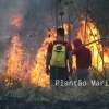 Fotos de Incêndio atinge antigo clube vale azul em Sarandi e destróI 4 hectares de vegetação