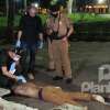 Fotos de Jovem é perseguido e executado a tiros na praça Raposo Tavares em Maringá