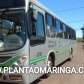 Fotos de Jovem é socorrido em estado grave após bater em ônibus da TCCC em Maringá