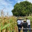 Fotos de Jovem que agrediu a namorada com barra de ferro em Marialva é encontrado morto na zona rural