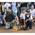 Fotos de Menino envia carta ao pelotão de choque e recebe visita dos policiais militares em sua escola