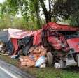 Fotos de Moradores de Paiçandu morrem em trágico acidente envolvendo dois caminhões que deixou três mortos na rodovia PR-317