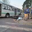 Fotos de Motociclista morre após acidente com ônibus em Maringá