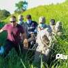 Fotos de Motorista embriagado que matou jovem em Maringá, pede perdão à família do rapaz