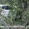 Fotos de Mulher perde o controle e carro vai parar, dentro do bosque 2, em Maringá