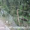 Fotos de Mulher perde o controle e carro vai parar, dentro do bosque 2, em Maringá