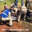 Fotos de Portador de necessidades especiais sofre ferimentos graves após capotamento em Maringá