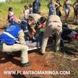 Fotos de Portador de necessidades especiais sofre ferimentos graves após capotamento em Maringá