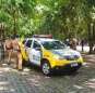 Fotos de Preso do regime semiaberto é executado a tiros no interior do Parque do Ingá em Maringá