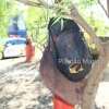 Fotos de Suspeito de matar homem com tiro na cabeça no sol nascente em Maringá é namorado da sobrinha da vítima